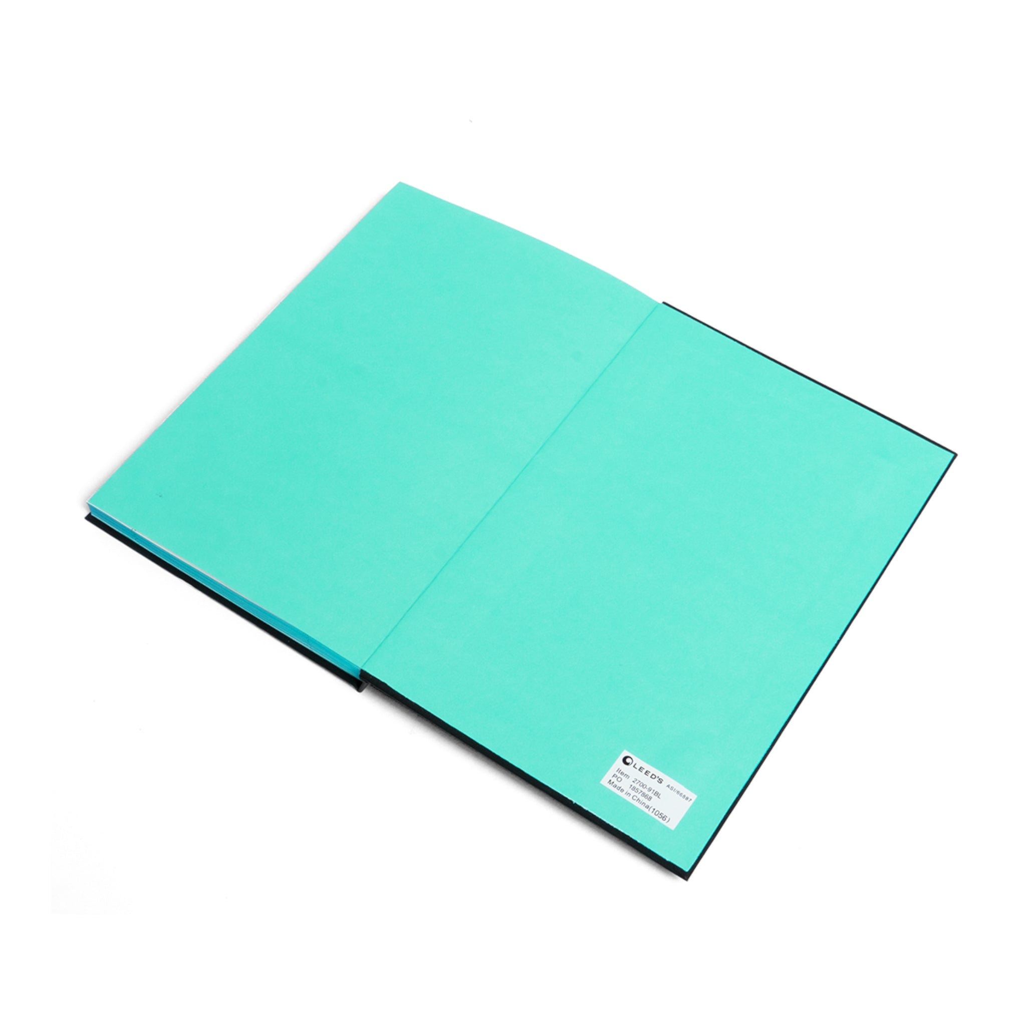 Soul Seeker Color Contrast Emotional Support Notebook